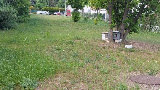Mieszkańcy pytają o przyszłość Sołtysówki. „Dwa lata temu były konsultacje, od tamtej pory cisza”