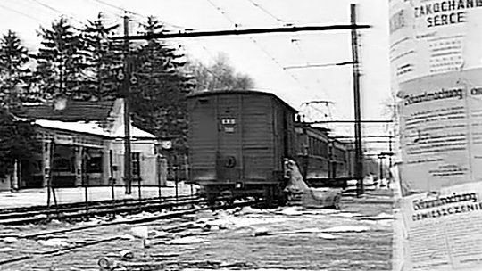 Podkowa Leśna w cieniu wojny