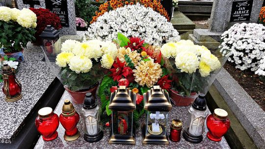 Wszystkich Świętych 2025. Ile zapłacimy za znicze i chryzantemy?