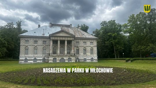 Zmiany w parku w Młochowie. Będą nowe alejki i fontanna