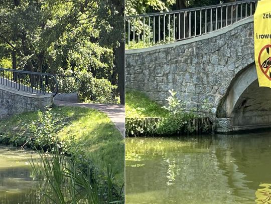 Baner, który podzielił miasto
