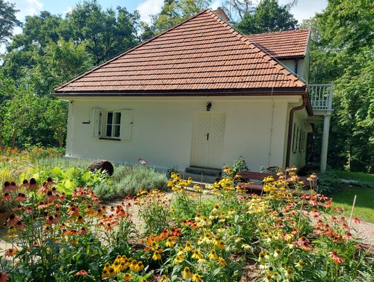 Będą nowe kamery w parku