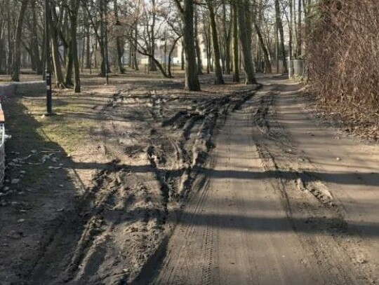 Będzie droga w parku