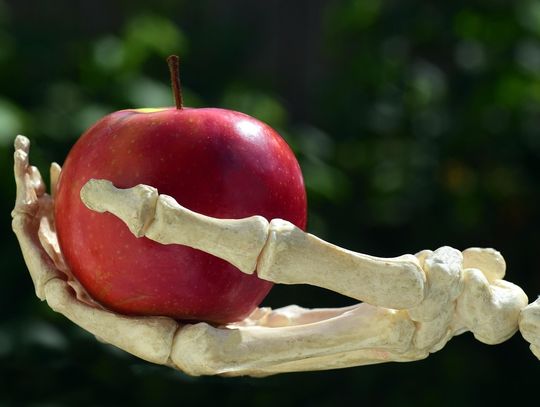 Bezpłatne badania osteoporozy w Milanówku – sprawdź swoje kości i zadbaj o zdrowie