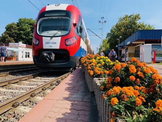 Bilet Pruszkowianina od 1 września! Tańsze przejazdy WKD dla mieszkańców