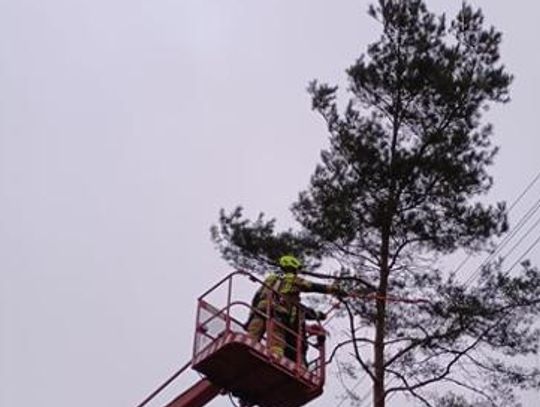 Blisko pięćset interwencji grodziskiej Państwowej Straży Pożarnej po przejściu huraganu