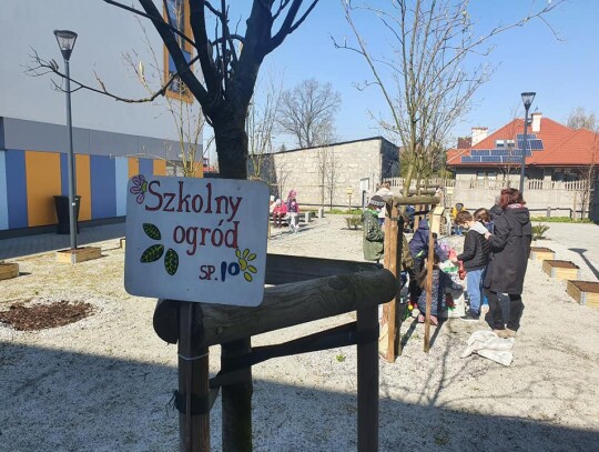 Edukacyjny ogród w Szkole Podstawowej nr 10