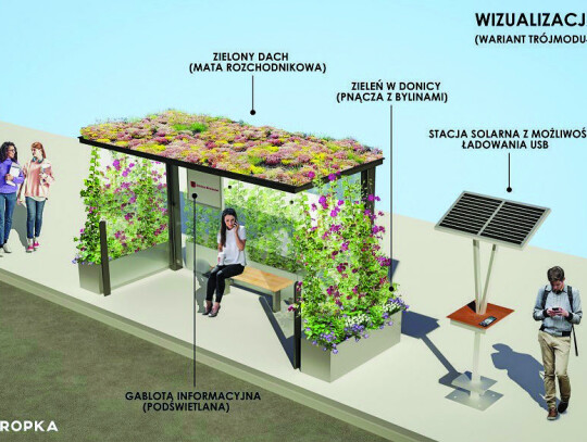 Ekologiczna wizytówka – zielone przystanki niebawem w Brwinowie
