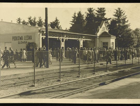 Elektryczne Koleje Dojazdowe i ich związek z powstaniem Podkowy Leśnej
