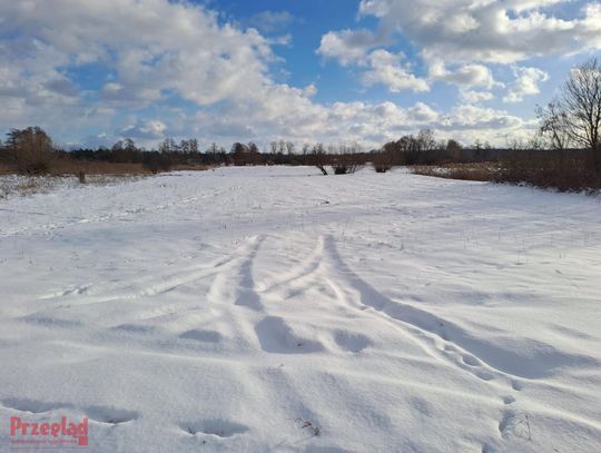 Intensywne opady śniegu w Pruszkowie – prognoza na weekend