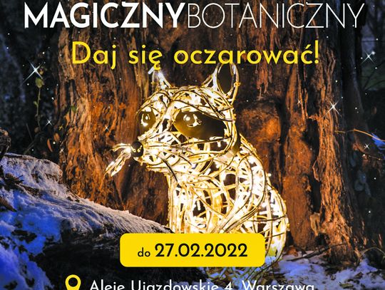 MAGICZNY BOTANICZNY – Daj się oczarować!