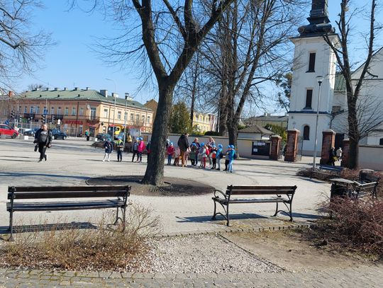 Miasto, które stawia na zielone!