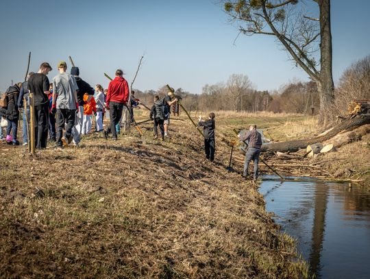 Mieszkańcy gminy znów posadzili drzewa nad Raszynką