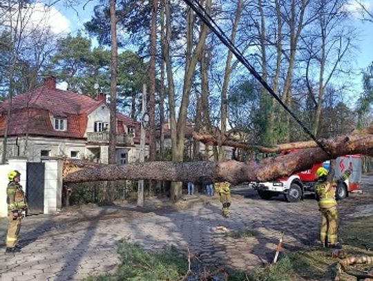 Mieszkańcy powiatu pruszkowskiego narzekają na brak prądu