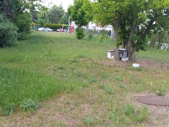 Mieszkańcy pytają o przyszłość Sołtysówki. „Dwa lata temu były konsultacje, od tamtej pory cisza”