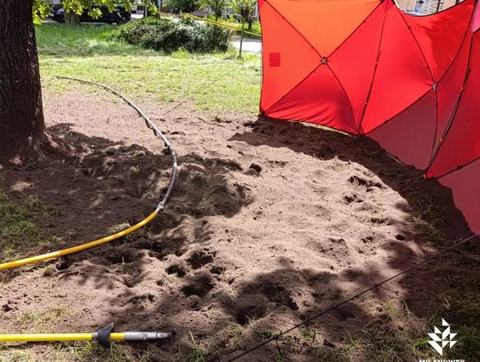 Milanówek dba o pomnik. Trwają specjalistyczne prace pielęgnacyjne