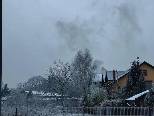 Milanówek kontra kopciuchy