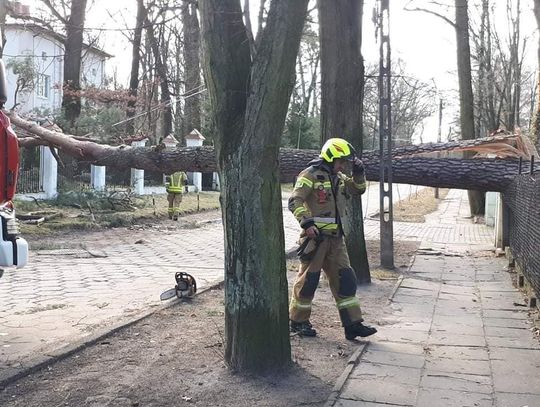 Najtrudniejszy czas dla OSP - bez zapłaty. Milanówek walczy o ekwiwalenty dla strażaków.