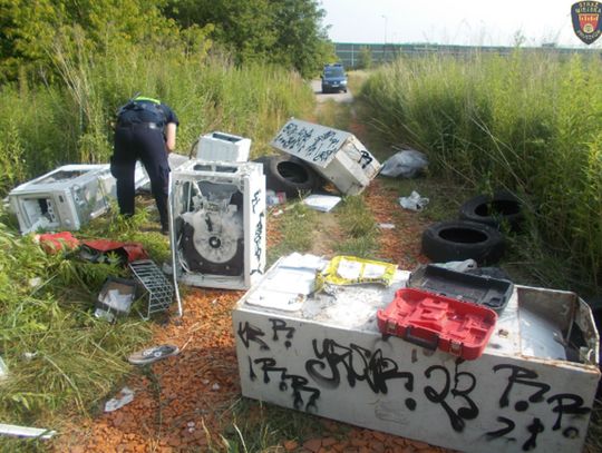 Nielegalne wysypisko śmieci pełne dowodów przewinienia