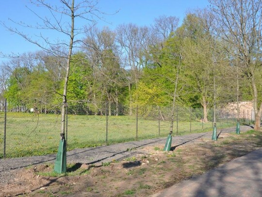 Nowatorskie podlewanie