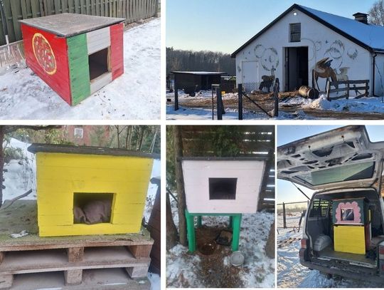 Nowe domki dla kotów w Gminie Żabia Wola. Mała pomoc, wielka zmiana!