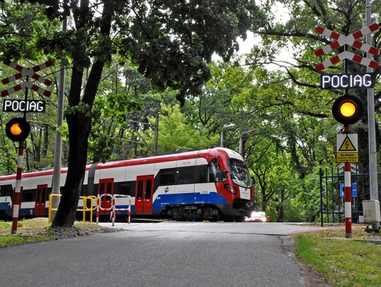 Od jutra całkowita zmiana rozkładu jazdy WKD