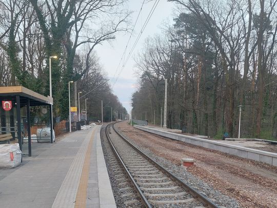 Od poniedziałku zmiany w zastępczej komunikacji autobusowej WKD