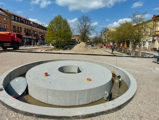 Pachnące miododajne rośliny w centrum i retencja