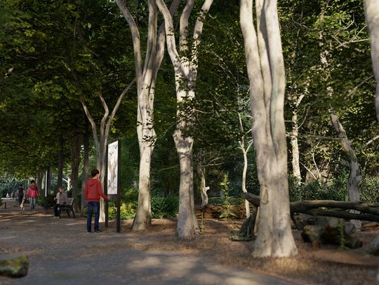 Park w Kraśniczej Woli zostanie zrewitalizowany. Gmina otrzymała ponad 1,1 mln zł dofinansowania
