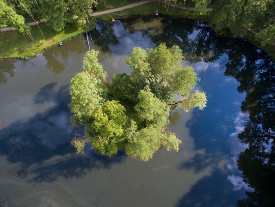 Park w Młochowie czekają kolejne zmiany