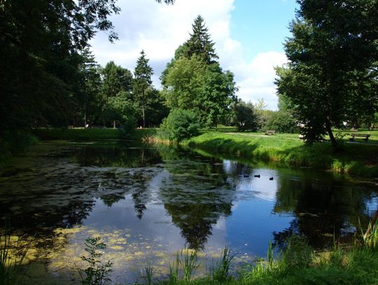 Park w Regułach zostanie powiększony