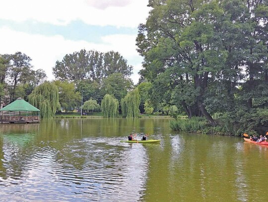 Parki zmienią oblicze