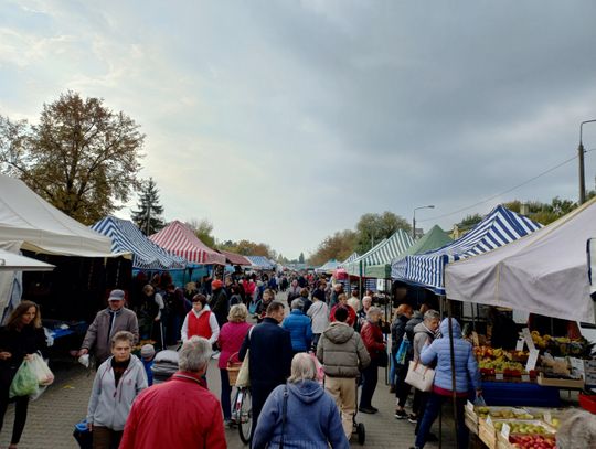 Pieskie życie na targu