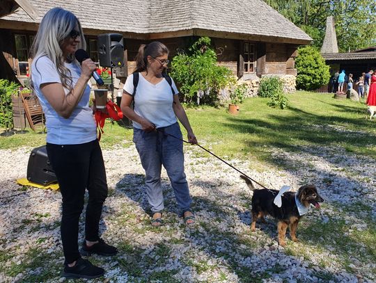 Piknik w Firlejach na rzecz bezdomnych zwierząt