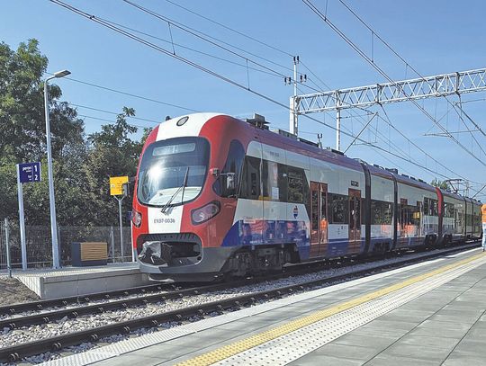 Pociąg się wykoleił z powodu błędu maszynisty