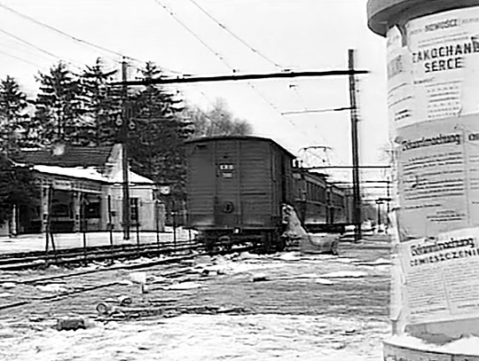 Podkowa Leśna w cieniu wojny