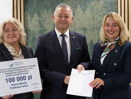 Podkowa Leśna wymieni 367 opraw ulicznych