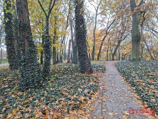 Pogoda w Pruszkowie w ten weekend- chłodne i deszczowe dni! Pogoda w Pruszkowie w ten weekend- chłodne i deszczowe dni!