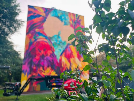 Powstaje mural Festiwalu Kultur Świata. Odsłonięcie już w piątek