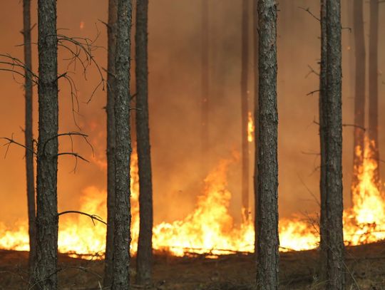 Pożar pod Warszawą nie ustępuje. 400 strażaków walczy z żywiołem