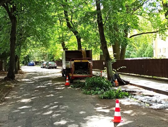 Prace pielęgnacyjne w Podkowie Leśnej