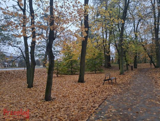 Prognoza na najbliższe dni: Deszcz i delikatne ocieplenie w Pruszkowie