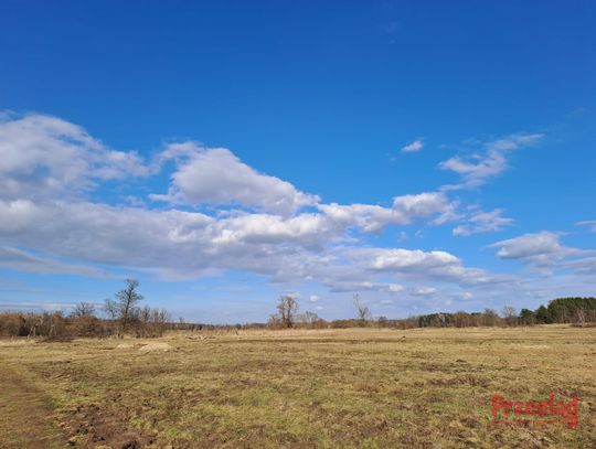 Prognoza pogody dla Pruszkowa – ciepłe i słoneczne dni w weekend!