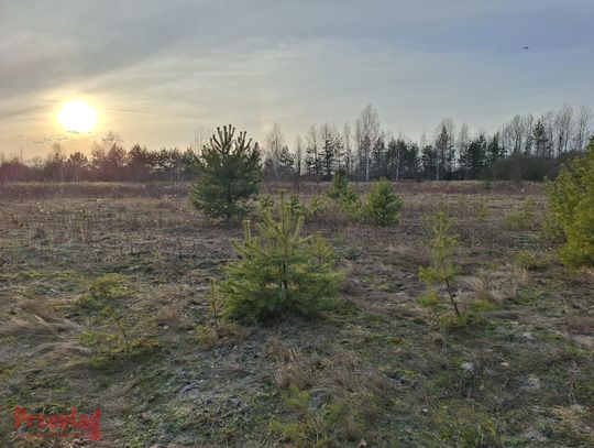 Prognoza pogody dla Pruszkowa na weekend