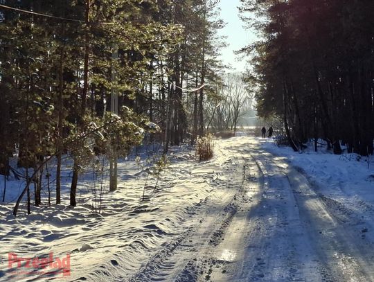 Niezwykle zimna aura z przelotnymi opadami śniegu - pogoda w Pruszkowie