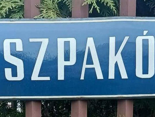 Przebudowa ulicy Szpaków w Podkowie Leśnej. Miasto ogłasza przetarg