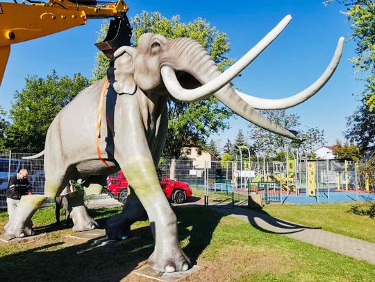 Słoń leśny wraca do Grodziska Mazowieckiego – figura w naturalnych rozmiarach już wkrótce Słoń leśny wraca do Grodziska Mazowieckiego – figura w naturalnych rozmiarach już wkrótce