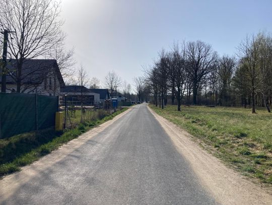 Spór o ul. Radarową w Ruścu: asfalt czy dęby?