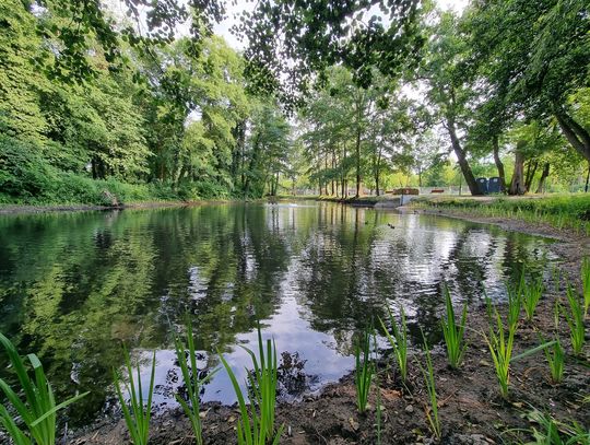 Staw w nowej odsłonie