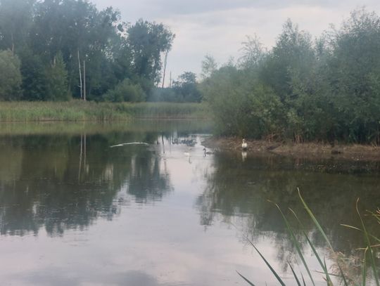 Szczęsne, czyli szczęśliwe miejsce do życia i do wychowywania dzieci